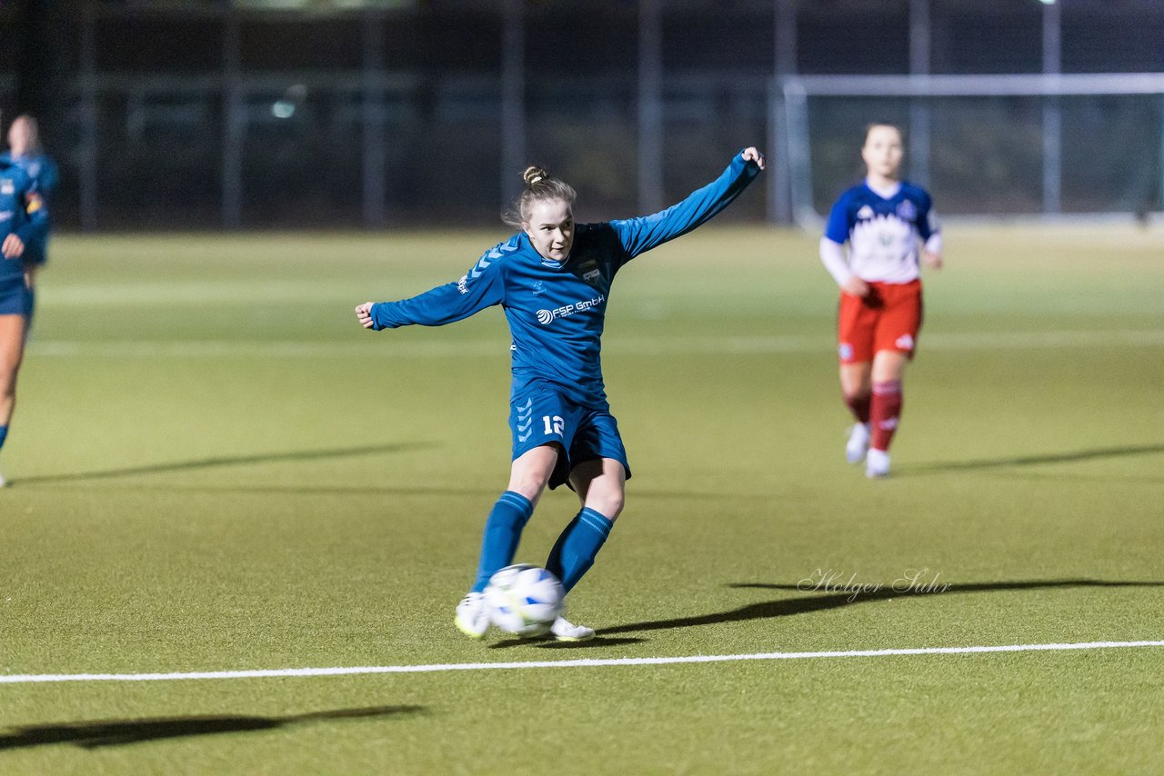 Bild 189 - F SC Alstertal-Langenhorn - Hamburger SV 3 : Ergebnis: 2:2